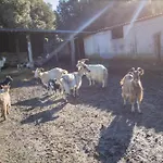 Holiday home Ferme I Frassedi