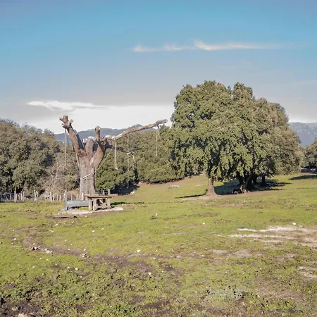 Ferme I Frassedi 別荘 Levie