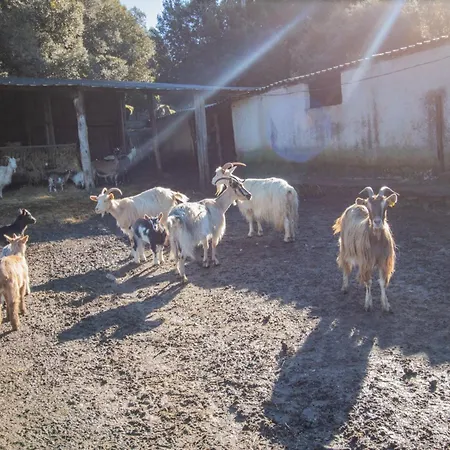 Ferme I Frassedi Levie