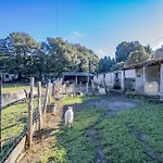 Ferme I Frassedi *