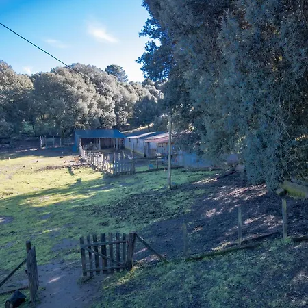 Ferme I Frassedi Holiday home Levie