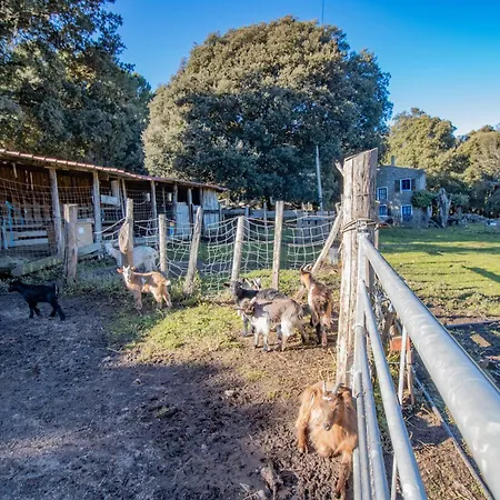 Ferme I Frassedi Levie