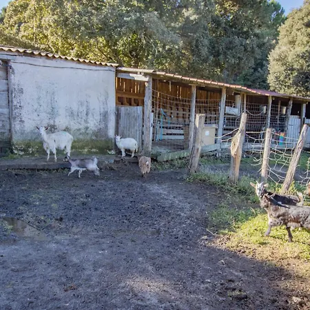 Ferme I Frassedi * Levie