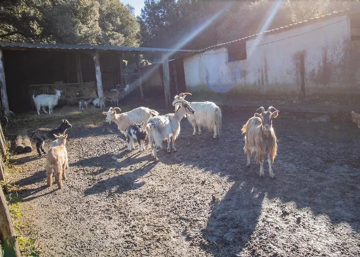 Ferme I Frassedi Levie