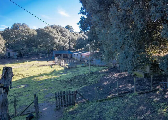 Ferme I Frassedi بيت للعطل Levie