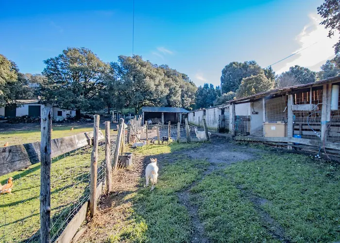 Ferme I Frassedi