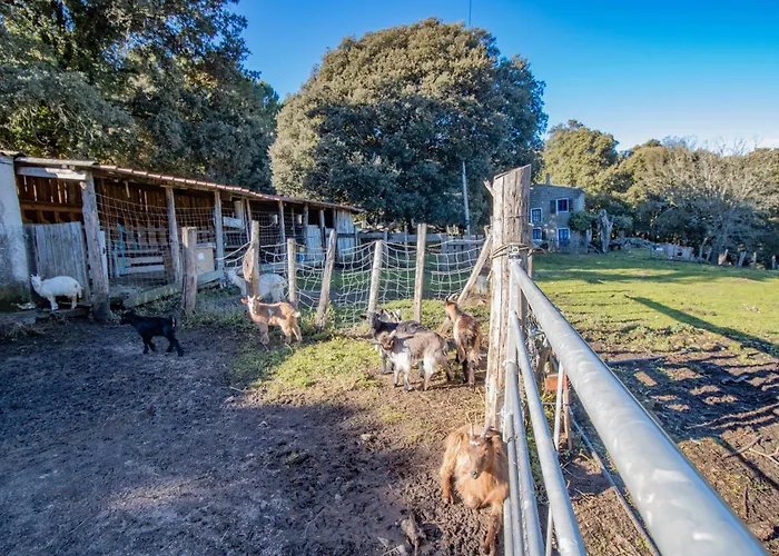 Ferme I Frassedi Levie